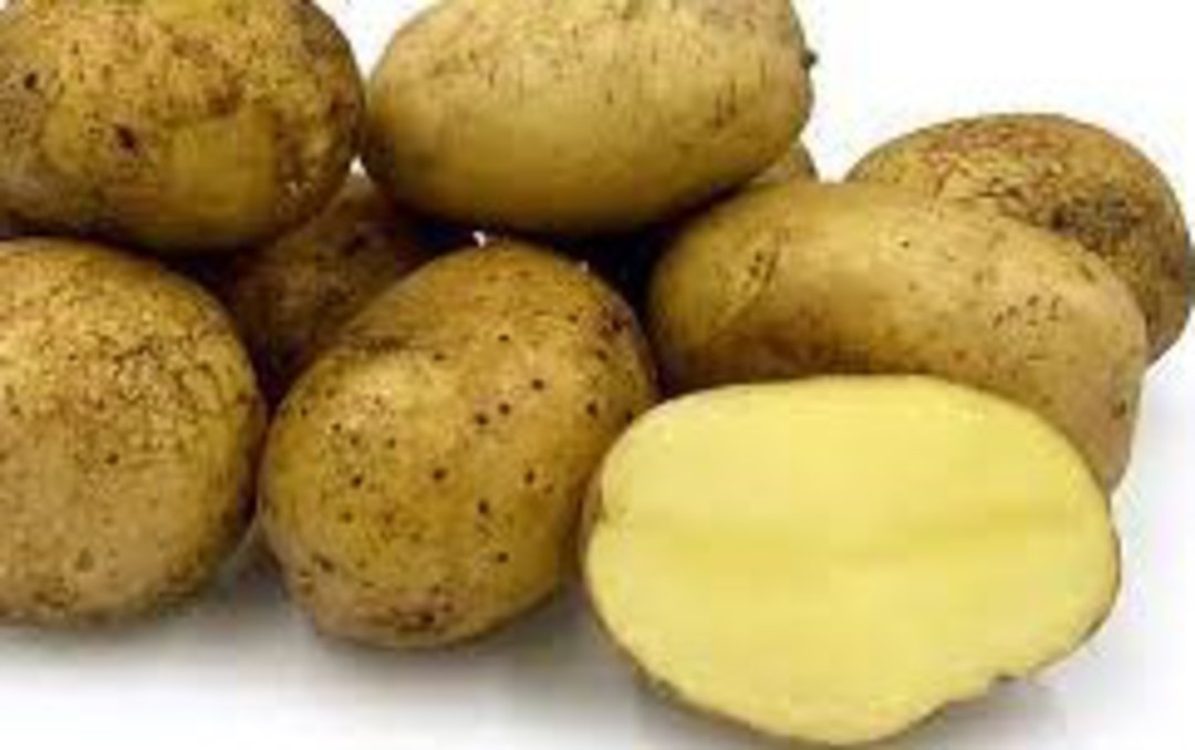 Agria Potatoes image 0